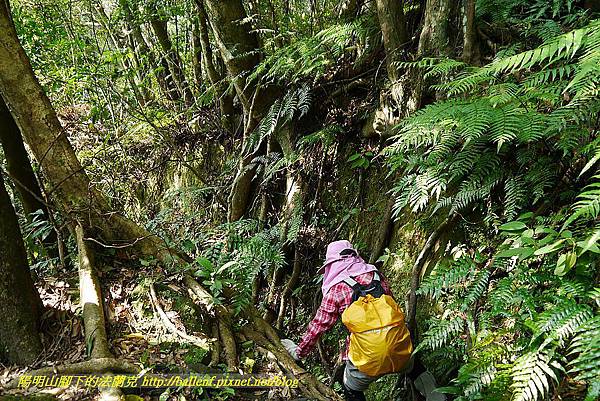 P1450850.jpg P1450850.jpg