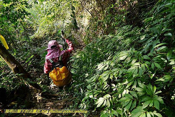 P1450852.jpg P1450852.jpg