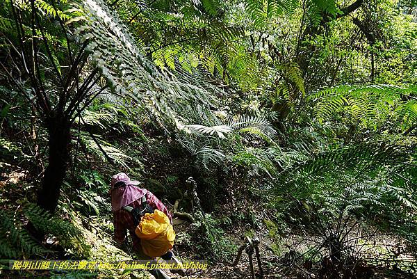 P1450851.jpg P1450851.jpg