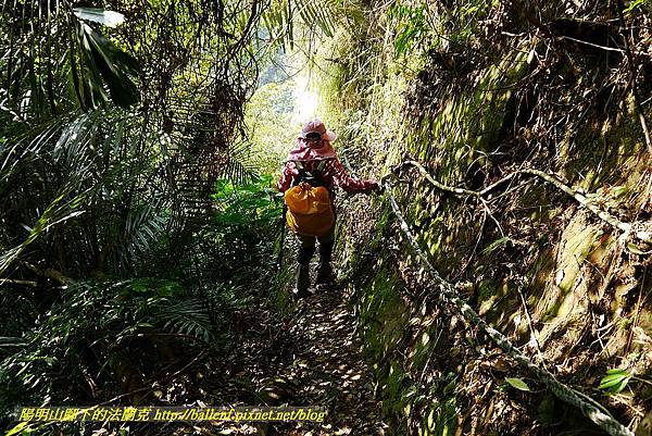 P1450853.jpg P1450853.jpg