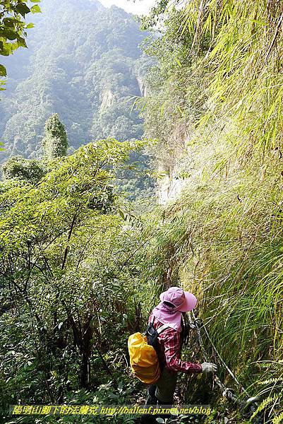 P1450854.jpg P1450854.jpg