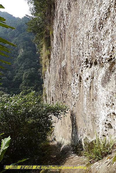 P1450859.jpg P1450859.jpg