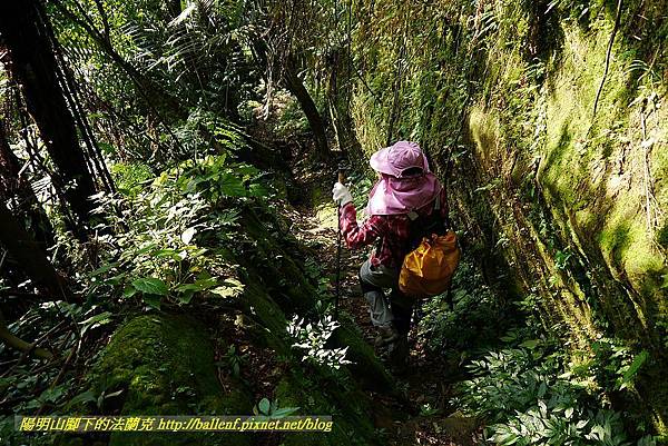 P1450865.jpg P1450865.jpg