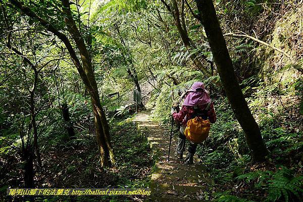 P1450866.jpg P1450866.jpg