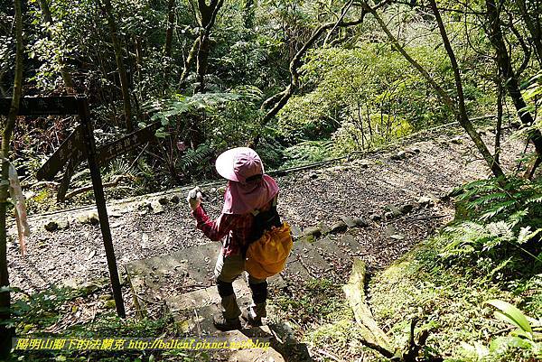 P1450867.jpg P1450867.jpg