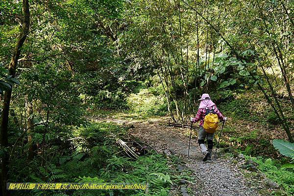 P1450869.jpg P1450869.jpg