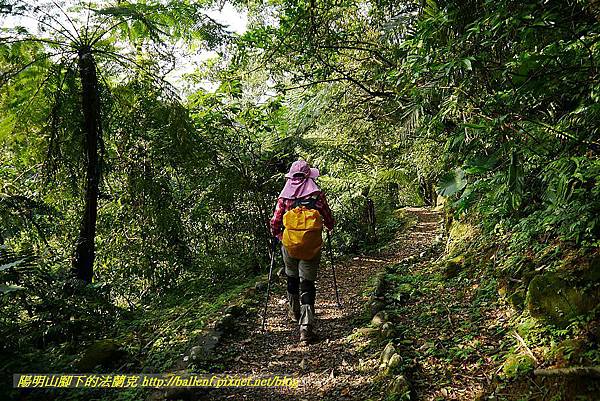 P1450870.jpg P1450870.jpg