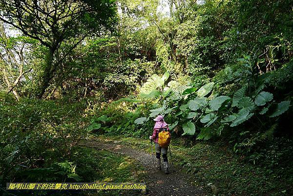 P1450871.jpg P1450871.jpg