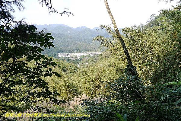 P1450873.jpg P1450873.jpg