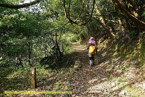 P1450874.jpg P1450874.jpg