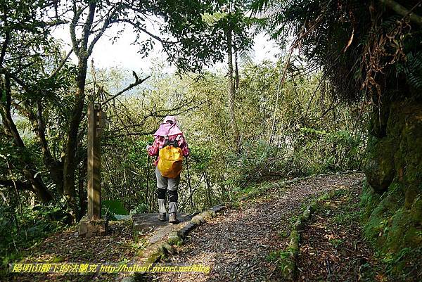 P1450875.jpg P1450875.jpg