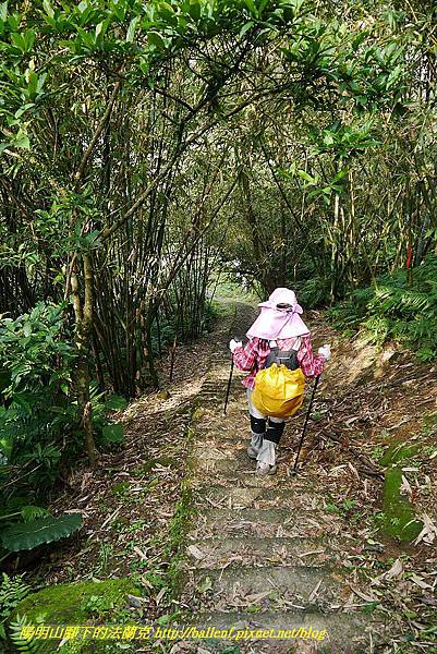 P1450876.jpg P1450876.jpg