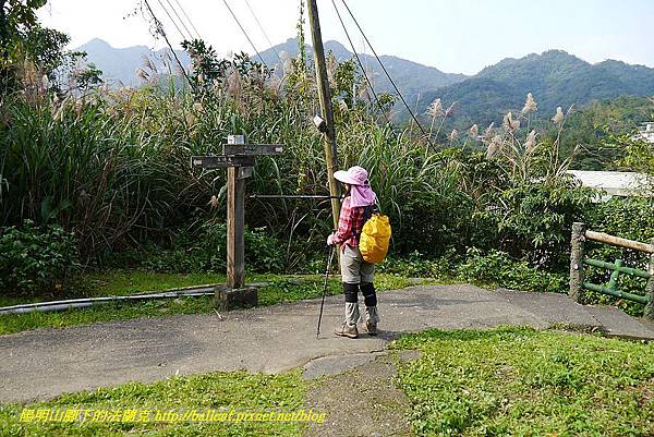 P1450877.jpg P1450877.jpg