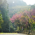 P1470901.jpg