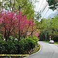 P1470917.jpg
