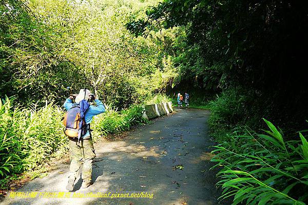 P1560828.jpg P1560828.jpg