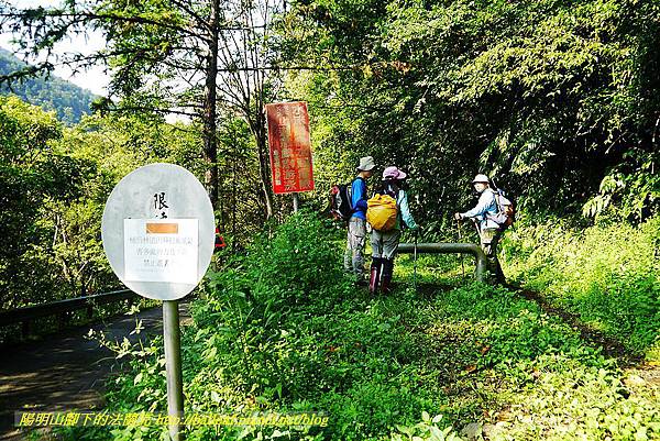 P1560832.jpg P1560832.jpg