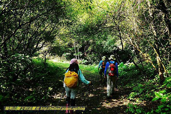 P1560833.jpg P1560833.jpg