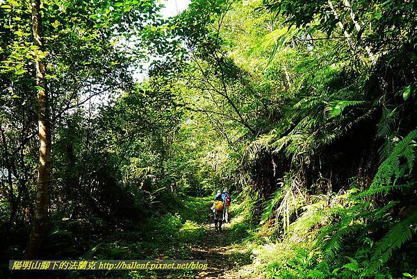 P1560835.jpg P1560835.jpg