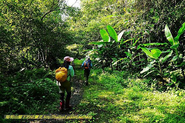 P1560838.jpg P1560838.jpg