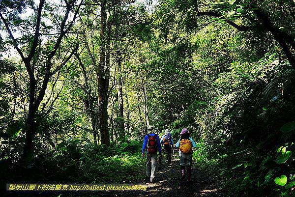 P1560839.jpg P1560839.jpg