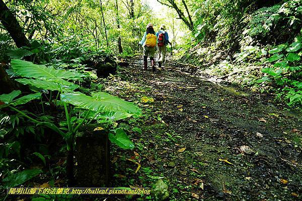 P1560840.jpg P1560840.jpg