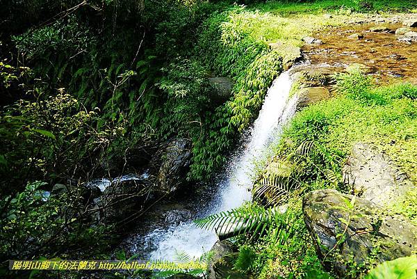 P1560842.jpg P1560842.jpg