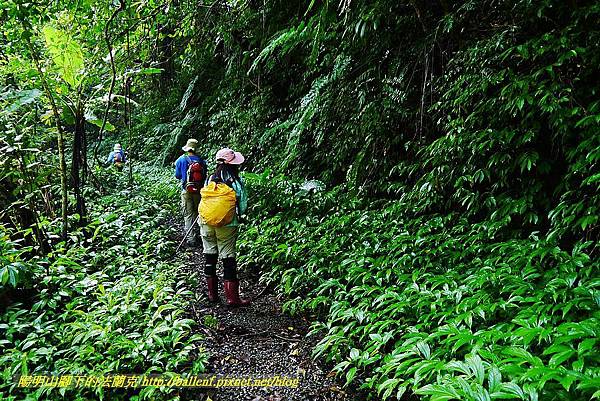 P1560849.jpg P1560849.jpg