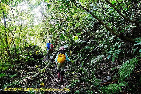 P1560850.jpg P1560850.jpg