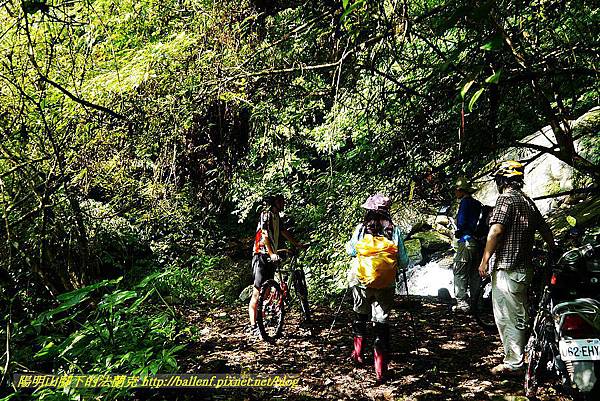 P1560853.jpg P1560853.jpg