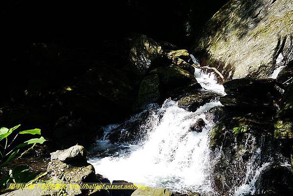 P1560854.jpg P1560854.jpg