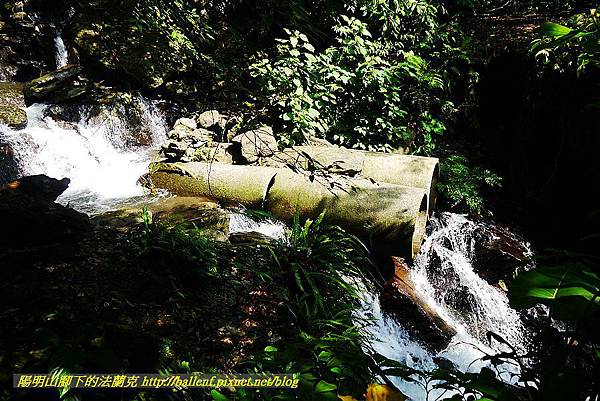 P1560859.jpg P1560859.jpg