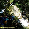P1560860.jpg