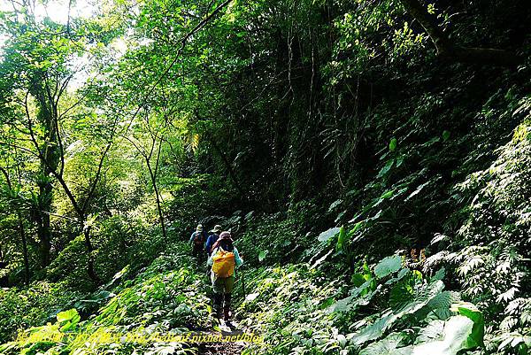 P1560862.jpg P1560862.jpg