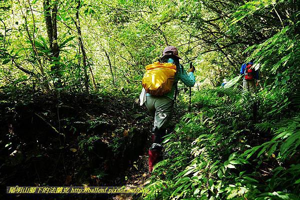 P1560865.jpg P1560865.jpg