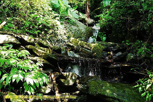 P1560867.jpg P1560867.jpg