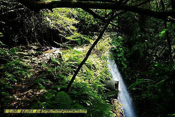 P1560868.jpg P1560868.jpg