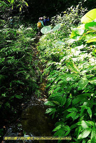 P1560869.jpg P1560869.jpg