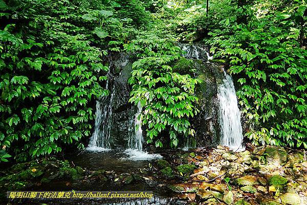 P1560870.jpg P1560870.jpg