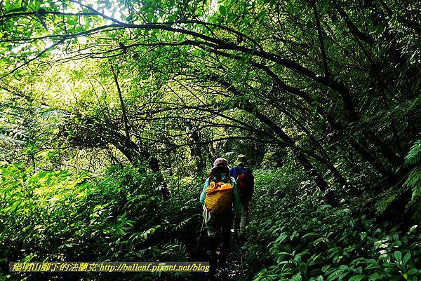 P1560873.jpg P1560873.jpg