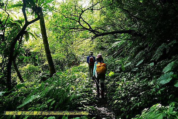 P1560874.jpg P1560874.jpg