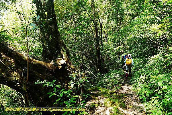 P1560878.jpg P1560878.jpg