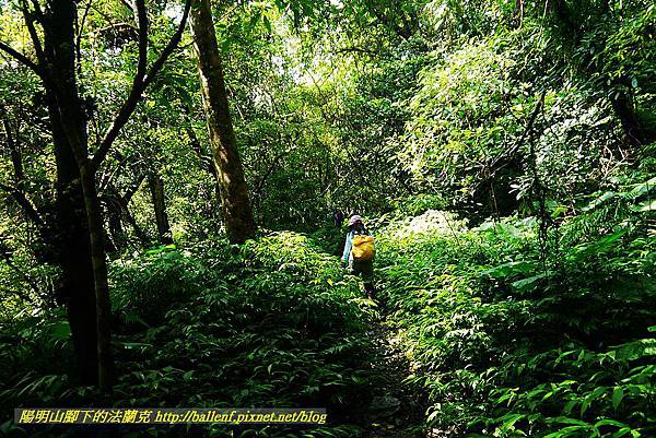 P1560879.jpg P1560879.jpg