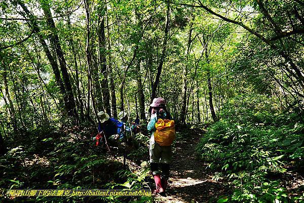 P1560880.jpg P1560880.jpg