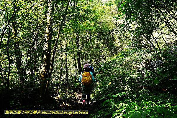 P1560881.jpg P1560881.jpg