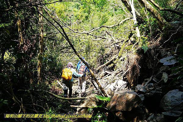 P1560882.jpg P1560882.jpg