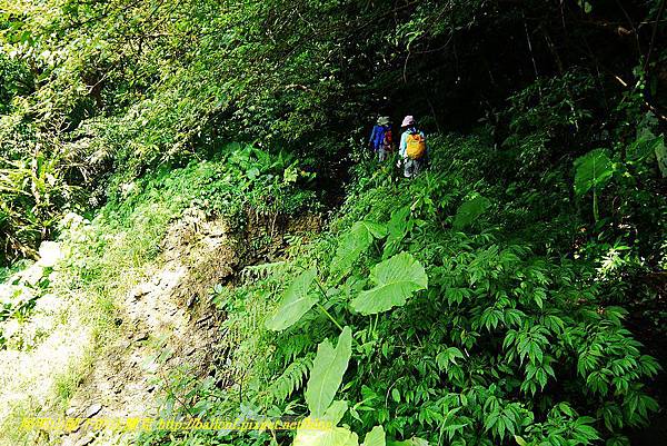 P1560883.jpg P1560883.jpg