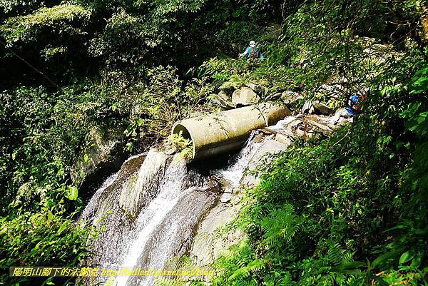 P1560887.jpg P1560887.jpg