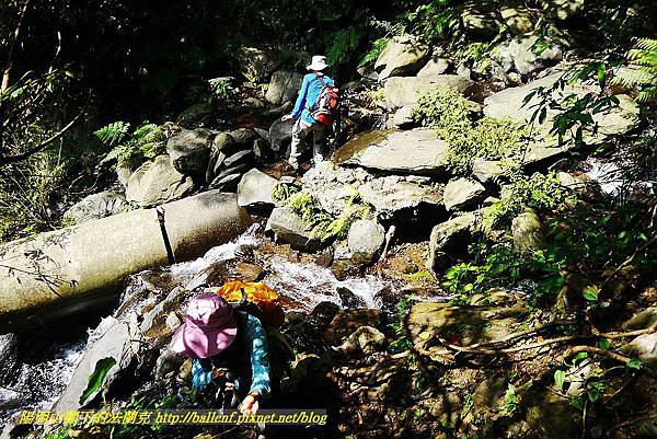 P1560888.jpg P1560888.jpg