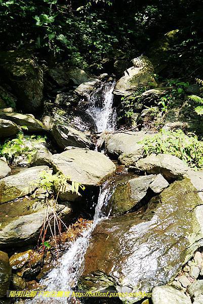 P1560890.jpg P1560890.jpg